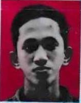 M. ARIEF AKBAR
